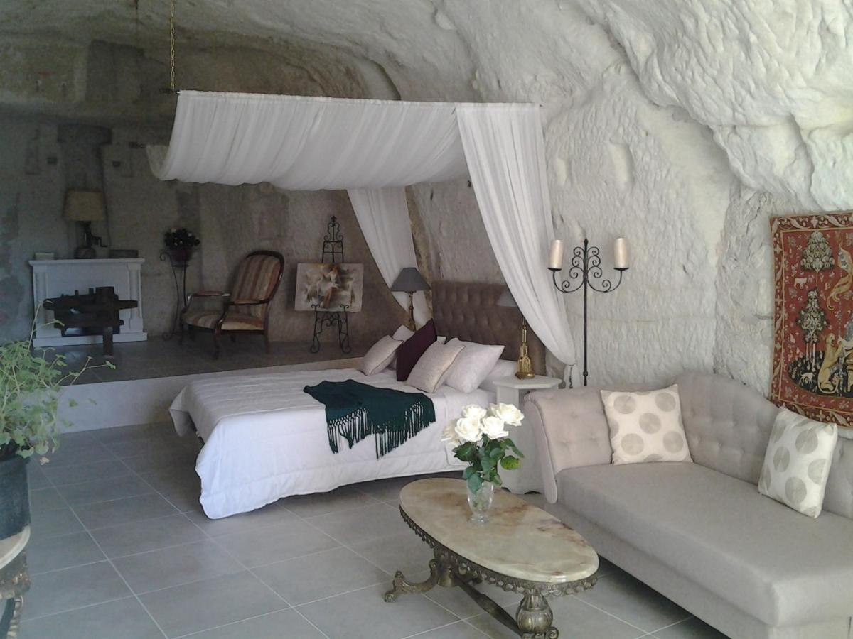 Bed and Breakfast Le Manoir Des Roches Bourré Exterior foto