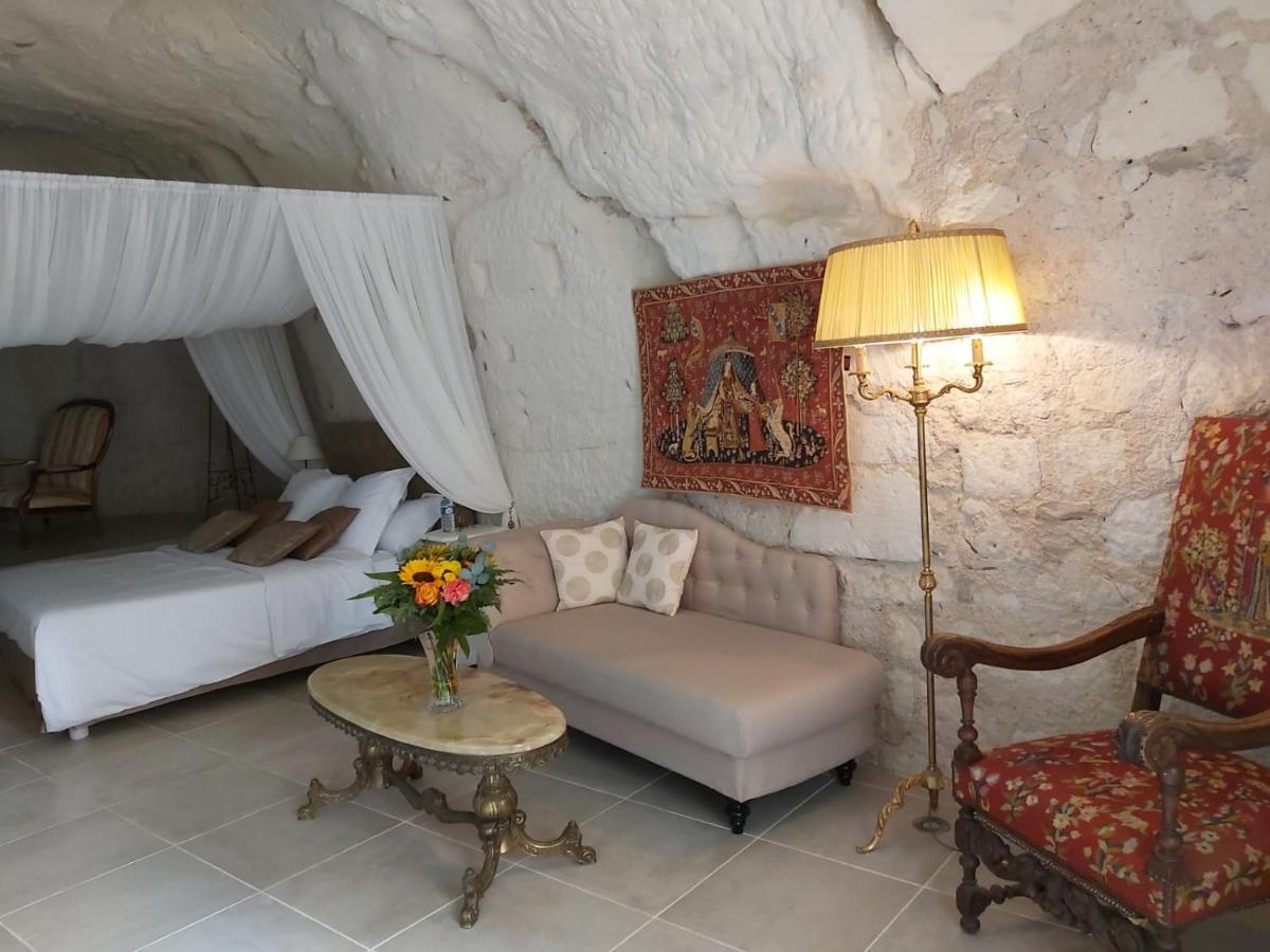 Bed and Breakfast Le Manoir Des Roches Bourré Exterior foto