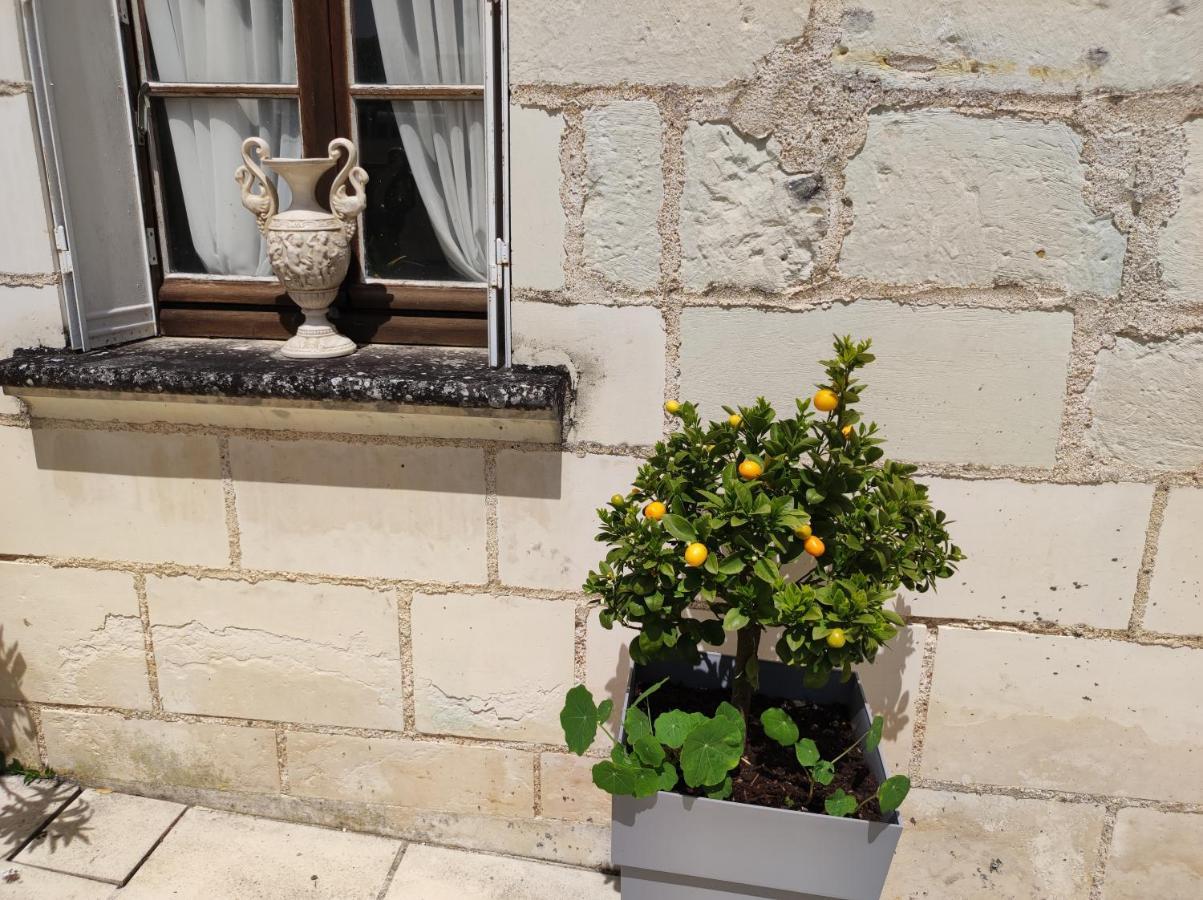Bed and Breakfast Le Manoir Des Roches Bourré Exterior foto