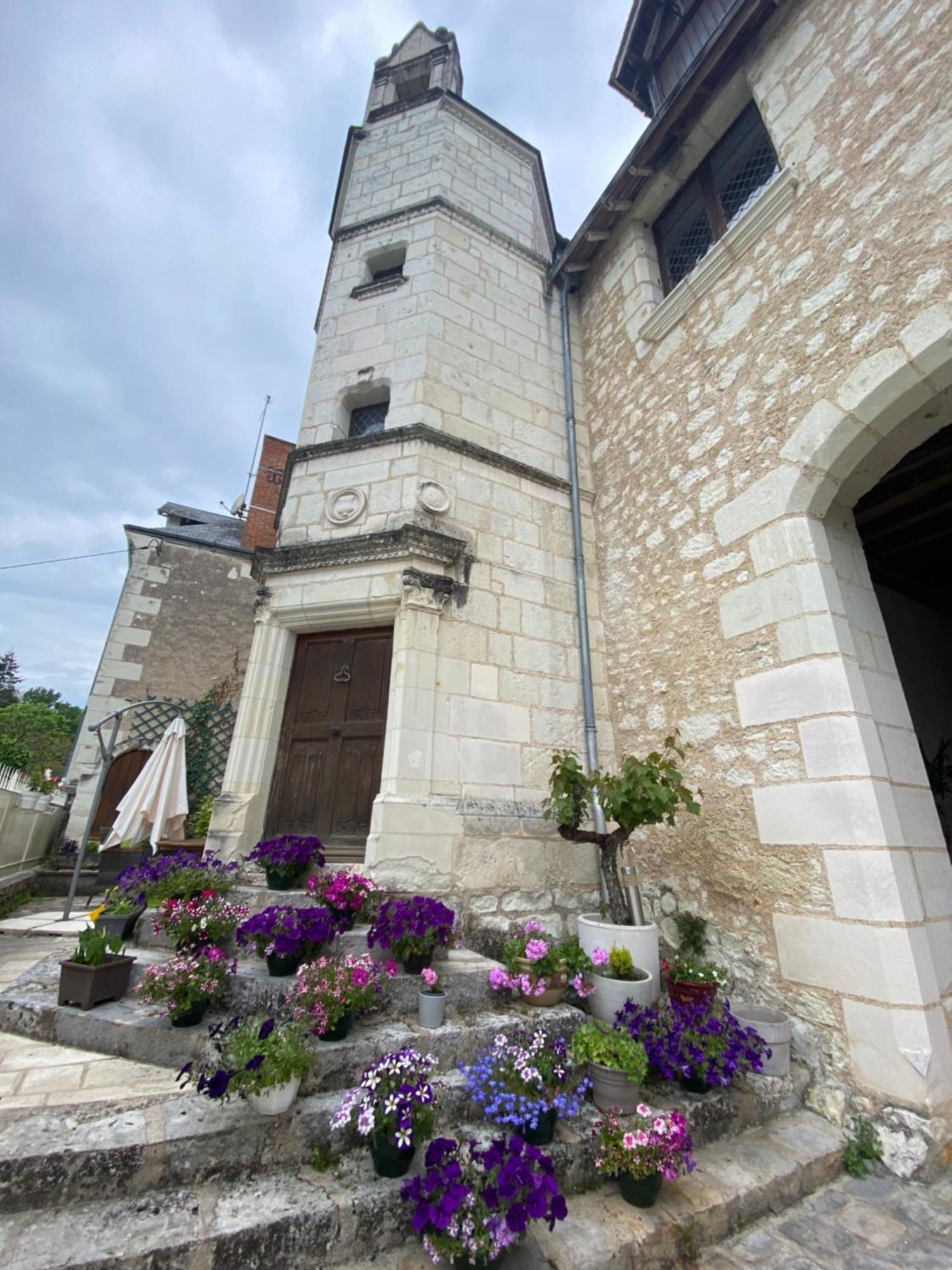Bed and Breakfast Le Manoir Des Roches Bourré Exterior foto