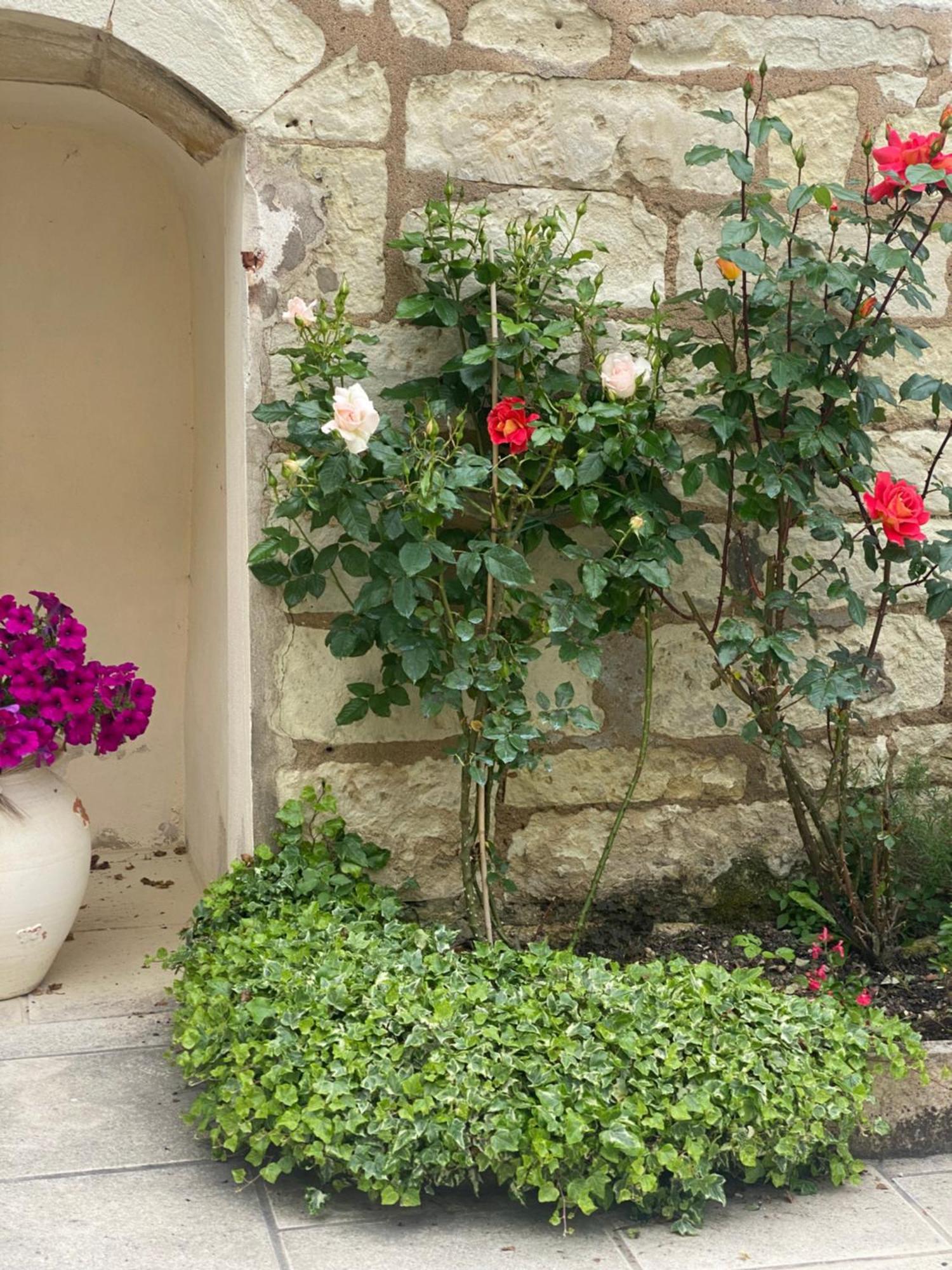 Bed and Breakfast Le Manoir Des Roches Bourré Exterior foto